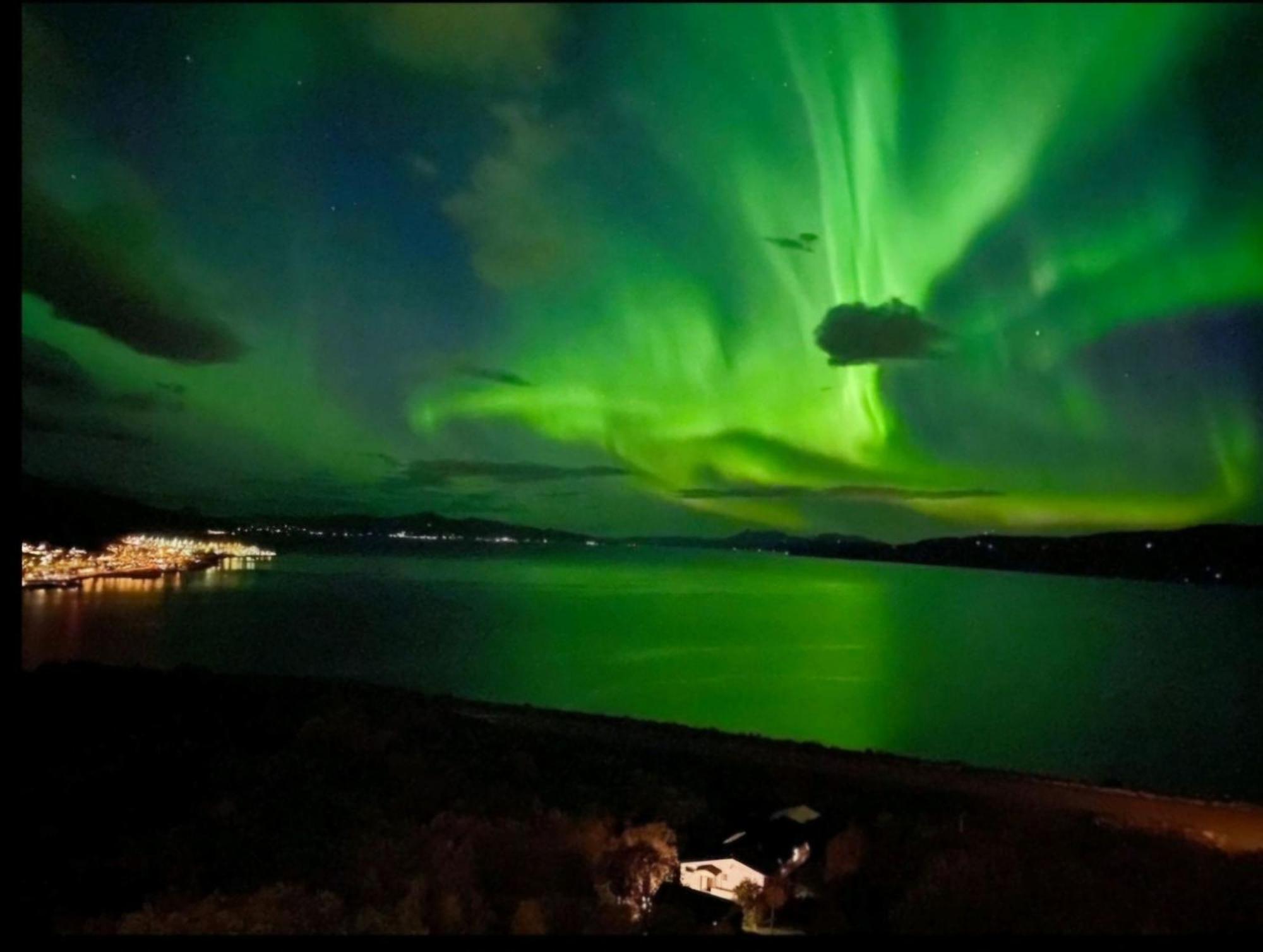 Hoy Standard. Mye For Pengene. Gratis Velkomstgave Narvik Exterior foto