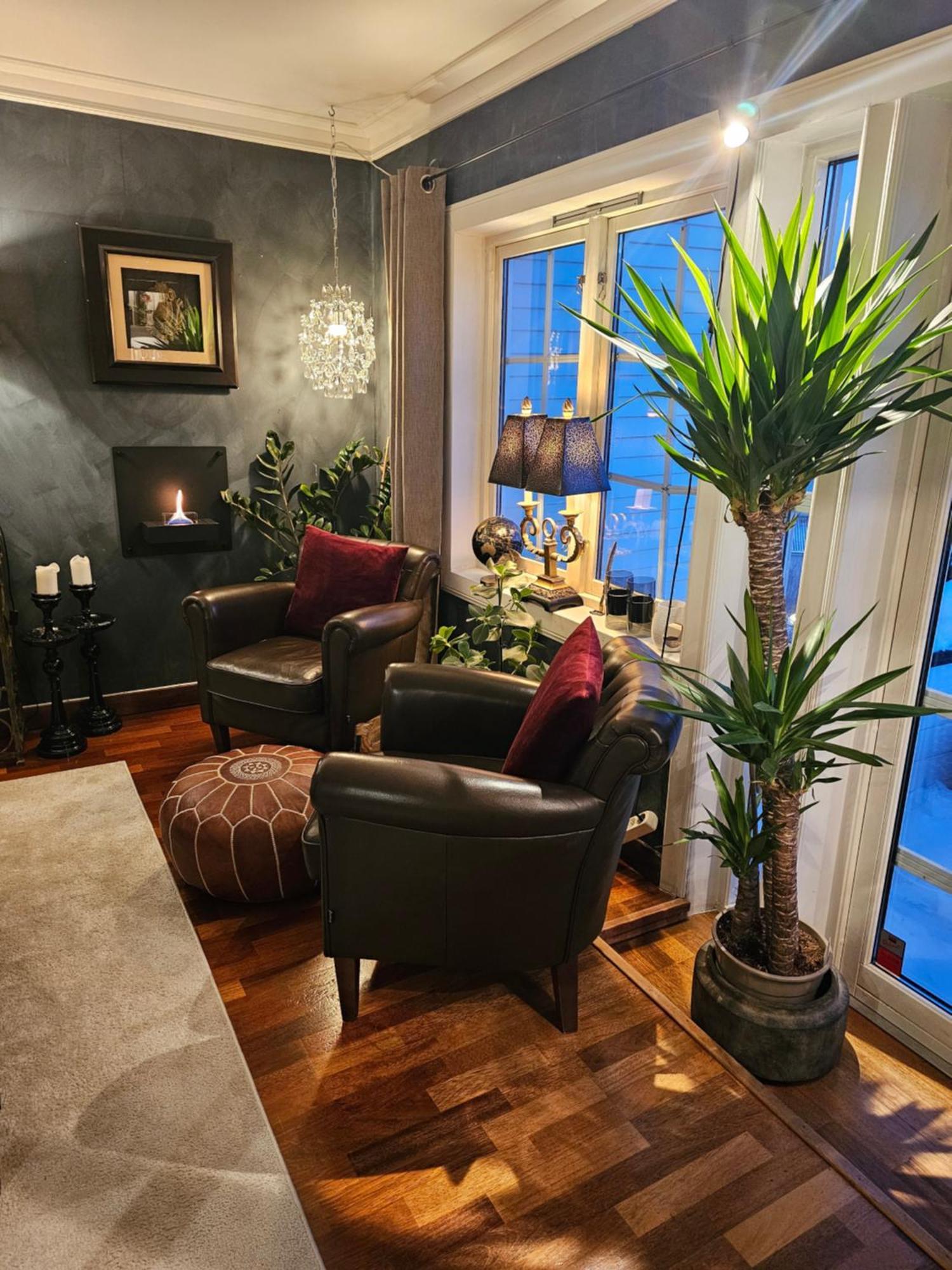 Hoy Standard. Mye For Pengene. Gratis Velkomstgave Narvik Exterior foto